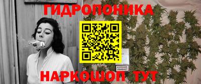 СК Краснодар