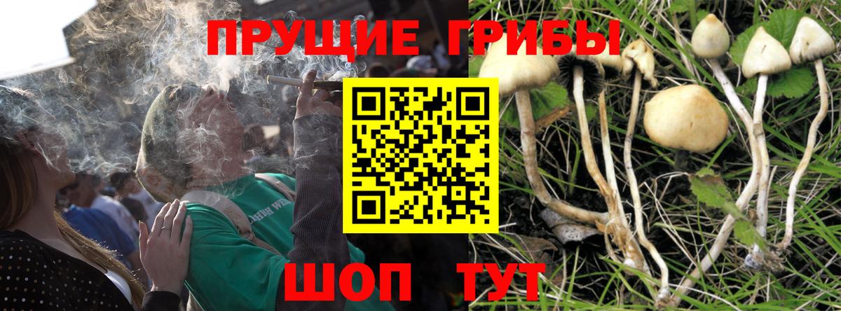 Галлюциногенные грибы мухоморы  Вход с VPN  Псилоцибиновые грибы Cubensis  Иваново 